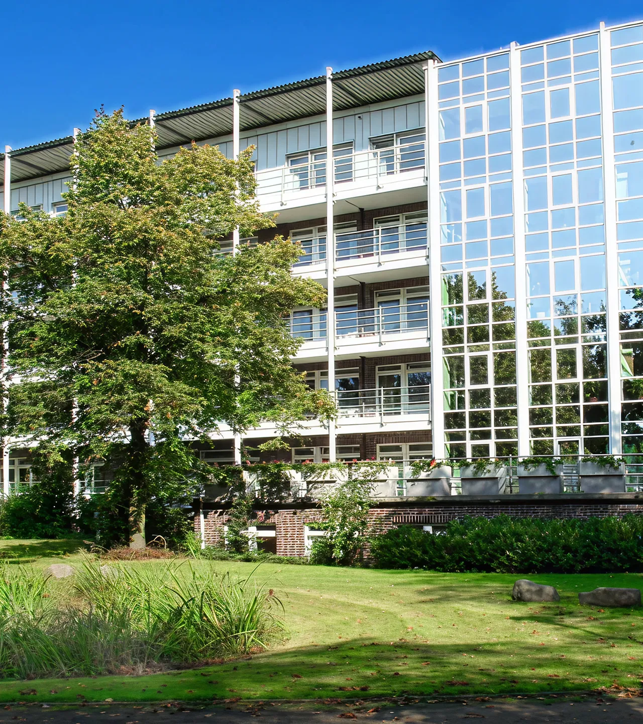 Moderne Glasfassade eines mehrstöckigen Gebäudes mit Grünfläche und Baum vor der Fassade.